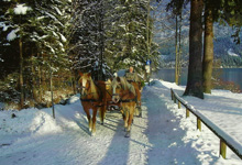 Pferdeschlittenfahrt durch die verschneite Winterlandschaft Johanna Schönauer, Tel. 03622 71380
